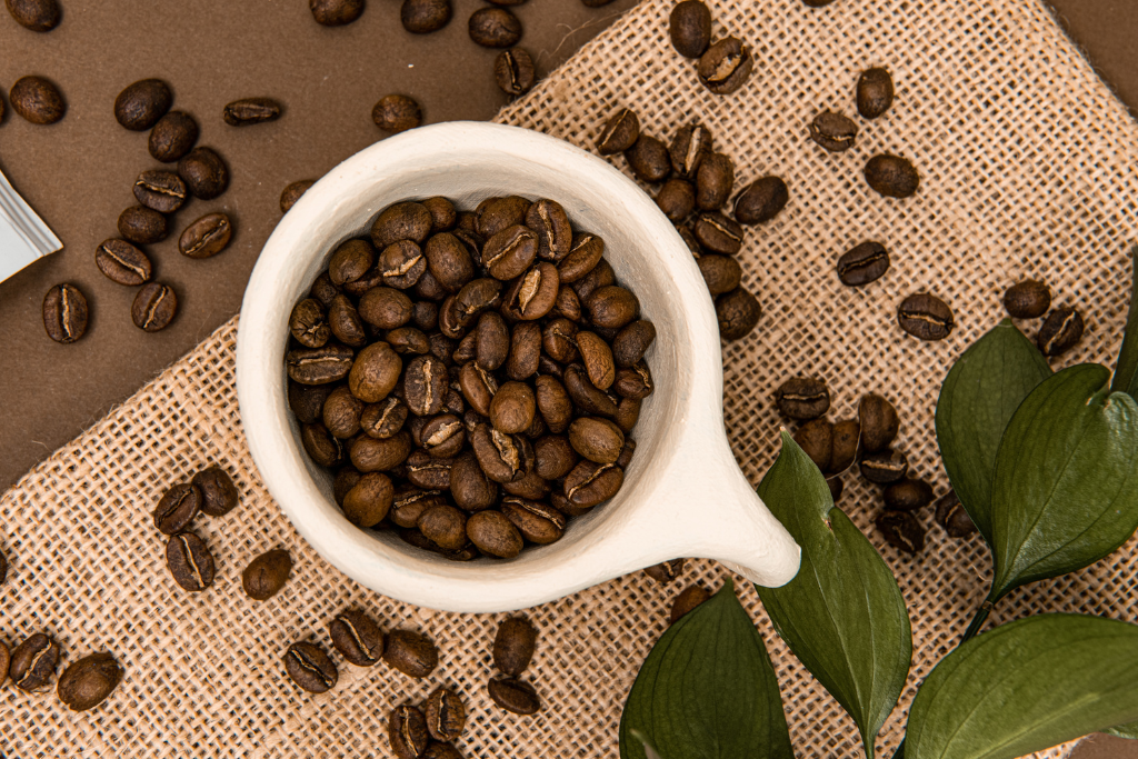 What is the Best Rated Mushroom Coffee? A Comprehensive Guide